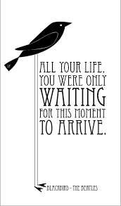 Black Bird Singing In The Dead Of Night Tattoo Blackbird Singing In The Dead Of Night Take These Broken Wings And Learn To Fly All Your Life You Were O Beatles Lyrics Music Lyrics Songs Beatles Quotes