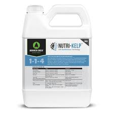 Image result for Kelp Green 2007 S-Max