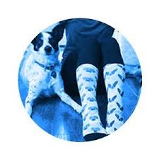 Custom pet photo socks at ipetsocks. Custom Pet Socks Pet Socks For Humans Pop Your Pup