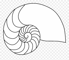 Download and print for free. Beach Guide Nautilus Shell Coloring Page Clipart 632318 Pinclipart