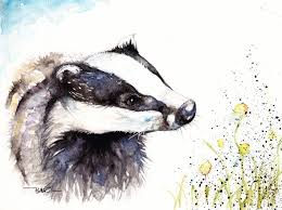 Original Watercolour Painting By Be Coventry Animals Realism Badger And Daisies Badger Illustration Watercolor Art Paintings Badger Tattoo