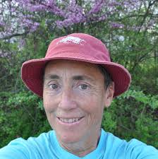 About RoadsideArchitecture.com