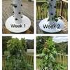 Cheap flower pots & planters, buy quality home & garden directly from china suppliers:6x6 aeroponic vertical tower garden growing system enjoy ✓free shipping worldwide. 1