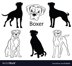 Black And White Boxer Dog Vector Boxer Set Collection Pedigree Dogs Black Vector Image On Vectorstock In 2020 Pedigree Dog Black And White Illustration Vector Drawing