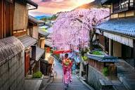 Japan travel guide: Everything you need to know | The Independent