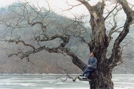 We did not find results for: Primavera Estate Autunno Inverno E Ancora Primavera 500 Film Da Vedere Prima Di Morire Recensione