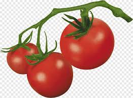 Check spelling or type a new query. Tomat Ceri Tomat Bush Tomat Anggur Tomat Prem Tomat Makanan Alami Makanan Png Pngegg