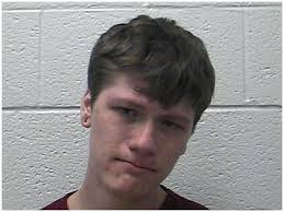 UPDATE: Church Hill teen accused of trying to rape woman during birthday  party at Johnson City apartment