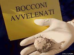 Max Inturri - BOCCONI AVVELENATI: come comportarsi in caso d'ingestione. Una delle principali cause di morte dei cani e dei gatti della nostra penisola, è la presenza di bocconi avvelenati. Ecco come