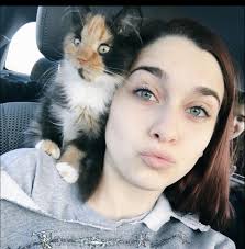 Calico Tortie Cat Characteristics and Adoption