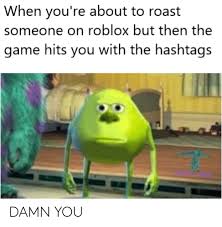 Some games and gaming forums are crawling with annoying noobs.. When You Re About To Roast Someone On Roblox But Then The Game Hits You With The Hashtags Damn You Roast Meme On Me Me
