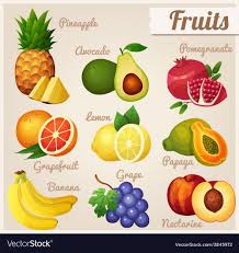 Set Of Food Icons Fruits Vector Image On Vectorstock Food Icons Fruit Fruit Vector