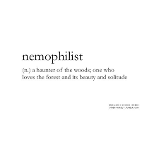 Beautiful Words Tumblr Other Wordly Tumblr Com Beautiful Definitions Aesthetic Words Weird Words Beautiful Words
