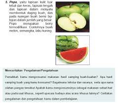 Beberapa contoh jenis sayuran buah adalah tomat, cabai, jipang, oyong, terong, timun, paprika. Pengolahan 4 Pengolahan Bahan Pangan Hasil Samping Buah