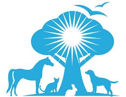 Check spelling or type a new query. Harmony Holistic Veterinary Care Prescott Arizona