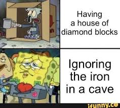 Having A House Of Diamond Blocks Lgnoﬁng The Iron Ifunny Really Funny Memes Funny Memes Funny Relatable Memes
