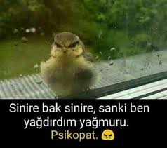 Psikopat Komik Komik Alintilar Komik Seyler