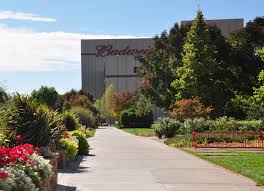 Free Classic Movies At Anheuser Busch Fort Collins Brewery Fort Collins Brewery Fort Collins Brewery