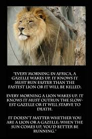 When The Sun Comes Up You Better Be Running Quote Lion Or Gazelle Either Way You Better Be Up And Running African Proverb Gazelle Best Quotes