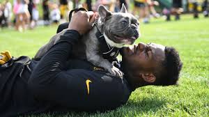 Anastasia anastasia mom of pups 2nd photo. From Fear Of Dogs To Epic Dog Dad Boujee Has Changed Pittsburgh Steelers Receiver Juju Smith Schuster
