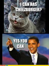 Image result for i can has cheezburger