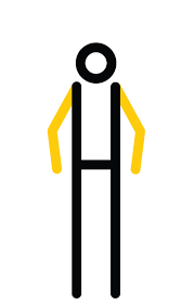 Aug 05, 2016 · at 19, biles has already won the most gold medals in the history of the world championships. Which Olympic Sports Fit Your Body Washington Post