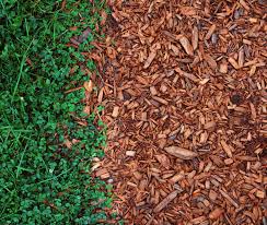 6 best black mulchs of june 2021. Natural Vs Colored Mulch Which Do People Prefer