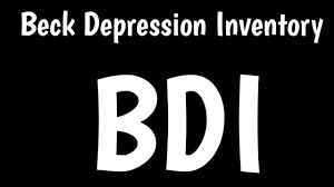 Image result for Beck Depression Inventory