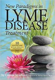 26 Best Lyme Disease Books For Survivors And Allies Anna Penenberg