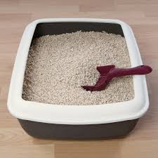 Check out the table below for a quick glance at our ratings for each box (and to follow along as we talk about the products). Homemade Cat Litter Ideas Thriftyfun