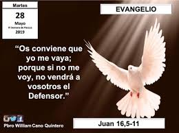 Evangelio Juan 16 5 11 En Aquel Tiempo Dijo Jesus A Sus Discipulos Ahora Me Voy Al Que Me Envio Y Ninguno De Vosotros Me Pregunta Release Dove Release