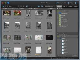 Download Adobe Photoshop Elements 10 For Mac