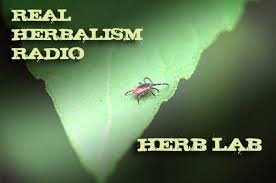 Unfortunately, the symptoms of lyme disease look a lot like those of other common conditions. 103 Herb Lab Unlocking Lyme Disease With Dr William Rawls The Practical Herbalist
