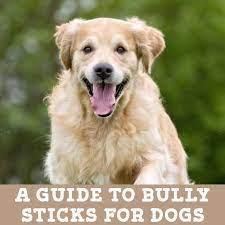 The average length for a bully stick is six inches (6″) which means that it would contain approximately 90 calories. The Truth About Bully Sticks For Dogs By Jo The Vet