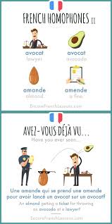 french homophones learn french study french homophones