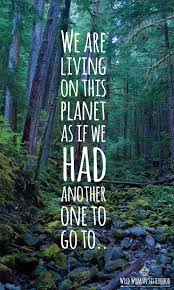 We Are Living On This Planet As If We Had Another One To Go To We Are Living Zitate Uber Natur Mutter Natur Zitate Inspirierende Spruche