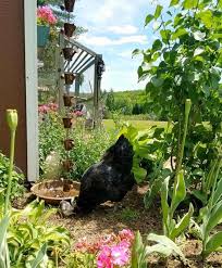 We did not find results for: Make It Last How To Protect And Preserve Your Garden Art