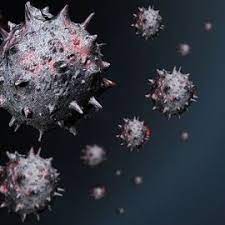 Discovery Made On How To Reduce Severe Tissue Damage From Some Viral  Infections | Technology Networks