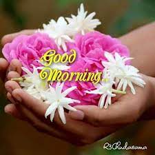 Good Morning Quote - Inspirational Quotes - Pictures - Motivational Thoughts