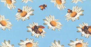 Pin On Images In 2020 Tyler The Creator Wallpaper Tyler The Creator Aesthetic Desktop Wallpaper