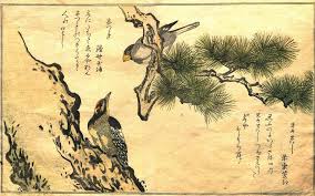 Aug 22, 2019 · traditional japanese clothing is a result of thousands of years of cultural influence. 119 Japanese Art