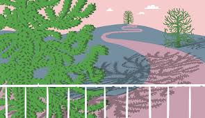 I have been in therapy when i was younger secret to everyday good hair day The Curious Case Of The Monkey Puzzle Tree Believer Magazine
