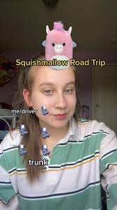 Squishmallow Car Ride