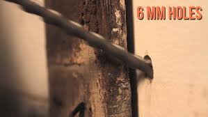 Not only will you be recognized you will determine prescribed treatment as marked on inspection graph and specification sheet and prepare site areas for treatment by removing. Termite Control Service 1 Minute Edit Youtube