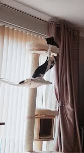 Idealisk plats för katter som älskar högre liggpositioner. Natural Paradise Cat Tree Compact Xl Cat Furniture Diy Large Cat Tree Cat Tree
