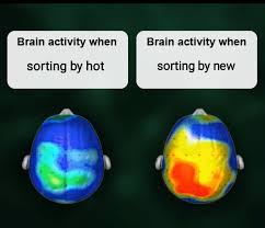 Stream tracks and playlists from trash gang on your desktop or mobile device. This Meme Was Made By Big Pp Gang Dankmemes