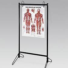 Portable Chart Stand Model 9880 Each