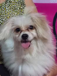 Eii where's my babe oo😆😆...is it true girls