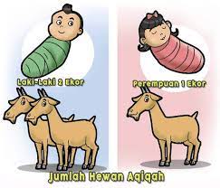 Jelaskan kapan waktu penyembelihan hewan akikah : Jelaskan Kapan Waktu Penyembelihan Hewan Akikah Jelaskan Kapan Waktu Penyembelihan Hewan Akikah Pengertian Penyembelihan Hewan Penyembelihan Hewan Dilakukan Dengan Cara Memotong Hewan Pada Bagian Leher Dengan Pisau Atau Benda Tajam Lainnya
