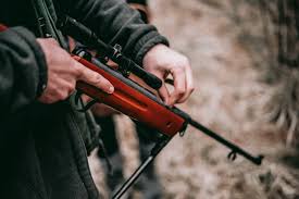 5 Best Air Rifles For Squirrel Hunting Gander Rv Outdoors